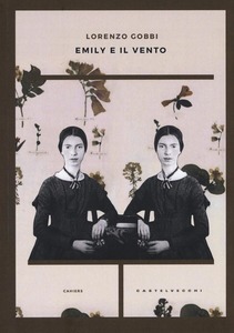 emily e il vento (ebook)