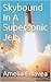 Skybound In A Supersonic Jet
