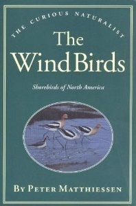 The Wind Birds: Shorebirds of North America (Paperback)