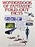 Wonderbook of fantastic fold-out facts : includes fantastic facts about shark attacks, bats, lightning, bullets and guns, the Venus fly trap, killer submarines, sumo wrestlers, space exploration, deep sea diving, the bionic man, and much more.