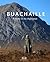 Buachaille: At Home in the Highlands