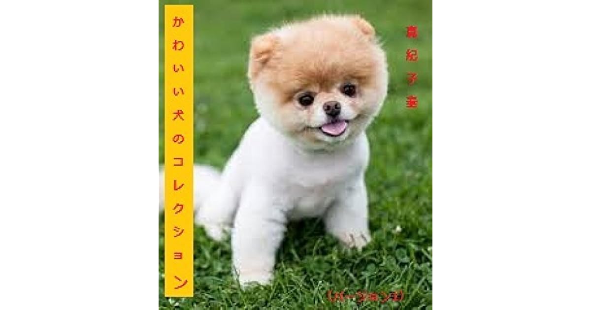 Cute Dogs Collection By Makiko Hata