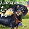 Short Adventures of a Loooong Dog by Jessica Neal Short Adventures of a Loooong Dog by Jessica Neal