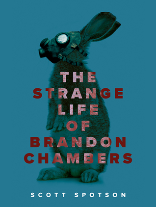 The Strange Life of Brandon Chambers (Kindle Edition)