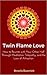 Twin Flame Love by Beratla Kasovich