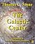 The Galactic Center (The Xylanthian Chronicles #3)