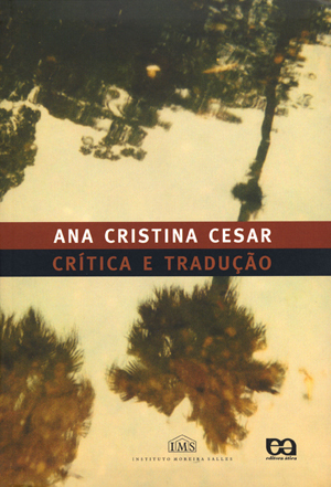 Crítica e tradução (Paperback)