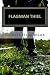 Flagman Thiel