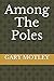 Among The Poles by GARY ALAN MOTLEY