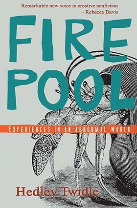 Firepool (Paperback)