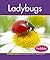 Ladybugs (Insects)