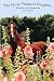 The Horse Trainer's Daughter, by Linda Wallen
