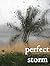 Perfect Storm