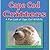 Cape Cod Critters—A Fun Loo...