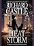 Heat Storm (Nikki Heat, #9)
