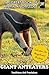 Giant Anteaters: Toothless ...