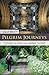 Pilgrim Journeys by Sally Welch