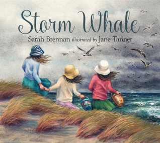 Storm Whale (Hardcover)