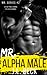 Mr. Alpha by J.L. Beck