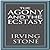 The Agony and the Ecstasy: A Biographical Novel of Michelangelo