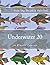 Underwater 20: in Plastic C...