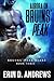 Aurora on Bruins' Peak