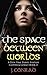 The Space Between Worlds
