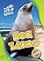 Sea Lions
