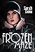 The Frozen Maze