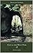 Coty & the Wolf Pack (Kentu...