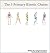 The Five Primary Kinetic Chains - Ebook
