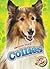 Collies (Awesome Dogs)