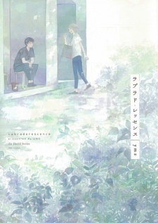 ラブラド・レッセンス [Labradorescence]