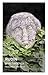Rudin: New Translation (Alma Classics)