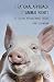 A Rational Approach to Animal Rights: Extensions in Abolitionist Theory