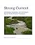 Strong Current: Identifying...