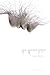 The Unseen Letter - A Play in Five Acts by Glen C Nairn