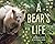 A Bear's Life (My Great Bea...