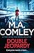 Double Jeopardy (Hero, #4)
