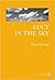 Lucy in the sky by Pete Fromm