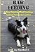 Border Collie Raw Feeding M...