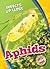 Aphids