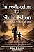 Introduction to Shi'a Islam: The Islamic Vision of Life