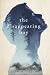The Disappearing Boy