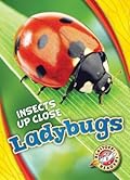 Ladybugs