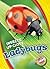 Ladybugs (Insects Up Close: Blastoff! Readers Level 1)