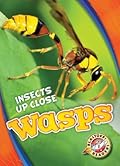 Wasps