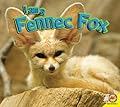I am a Fennec Fox