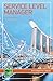 Service Level Manager: Careers in IT service management (BCS Guides to IT Roles)