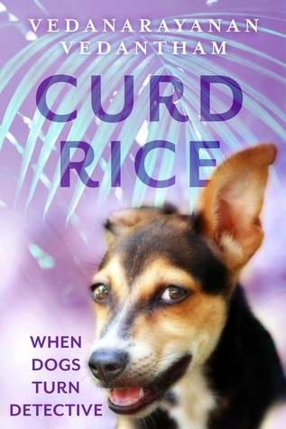 Curd Rice